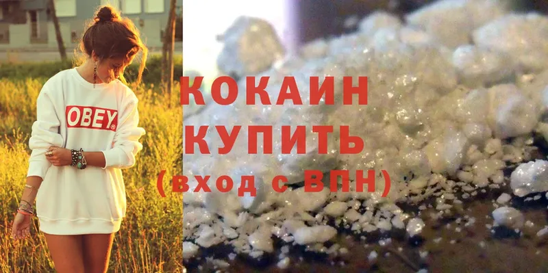 COCAIN Fish Scale  купить закладку  Каргат 